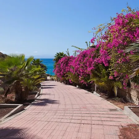 Parque Santiago Ii Playa Las Americas * Playa de las Americas (Tenerife)